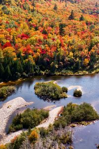 Preview wallpaper river, forest, autumn, aerial view, islands