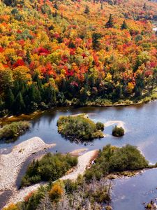 Preview wallpaper river, forest, autumn, aerial view, islands