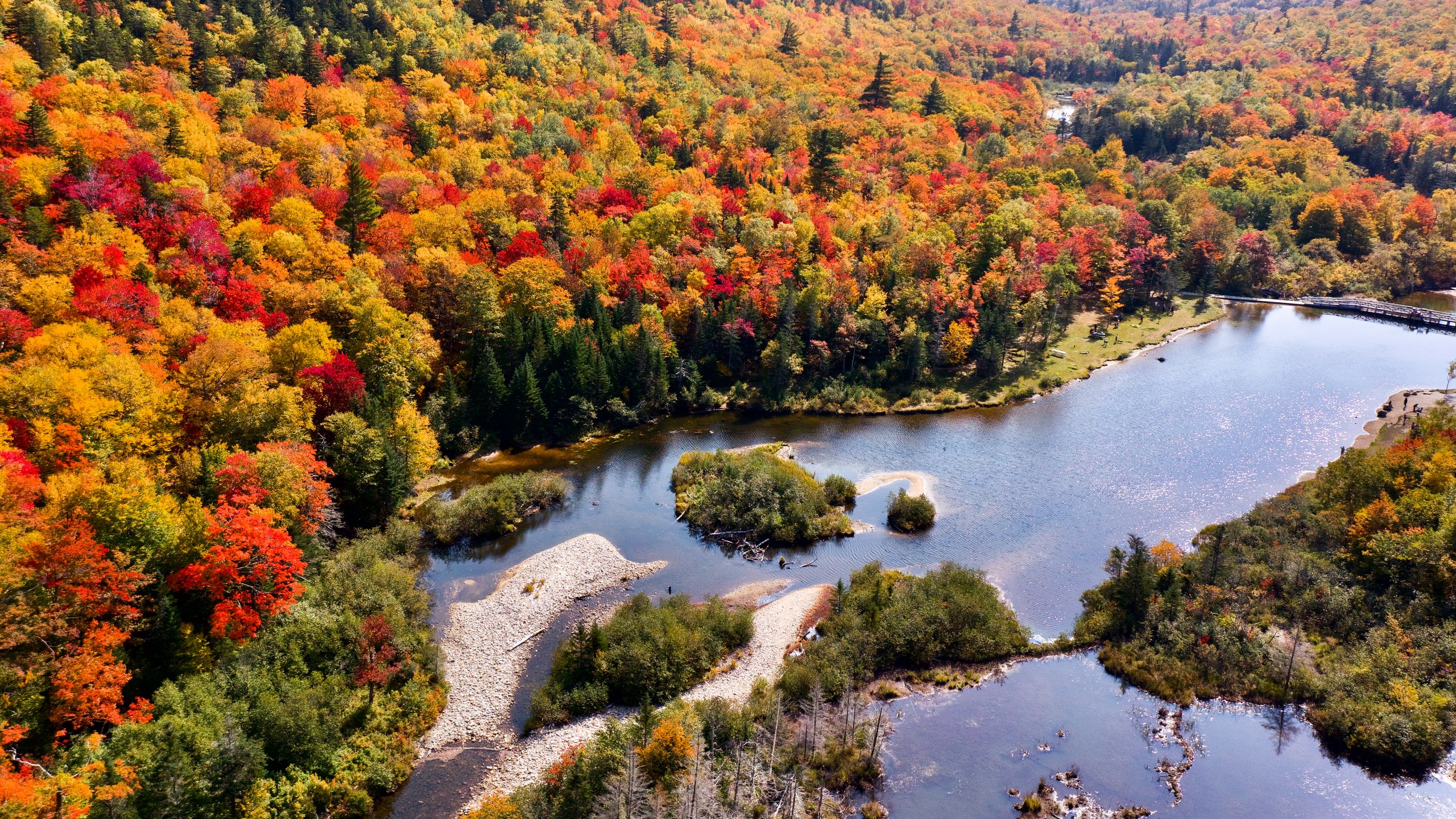 Download wallpaper 2560x1440 river, forest, autumn, aerial view