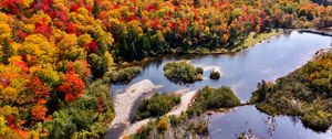 Preview wallpaper river, forest, autumn, aerial view, islands