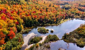 Preview wallpaper river, forest, autumn, aerial view, islands