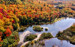 Preview wallpaper river, forest, autumn, aerial view, islands