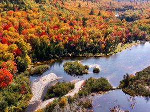 Preview wallpaper river, forest, autumn, aerial view, islands