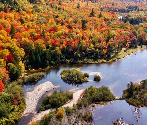 Preview wallpaper river, forest, autumn, aerial view, islands