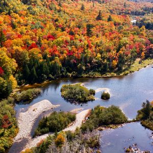 Preview wallpaper river, forest, autumn, aerial view, islands