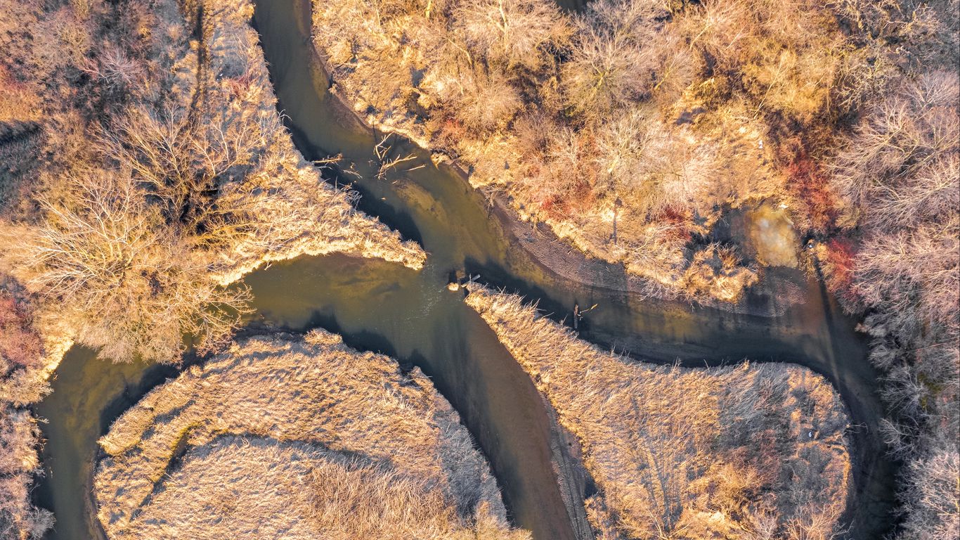 Download wallpaper 1366x768 river, forest, autumn, nature, aerial view