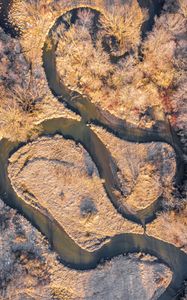 Preview wallpaper river, forest, autumn, nature, aerial view