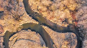 Preview wallpaper river, forest, autumn, nature, aerial view