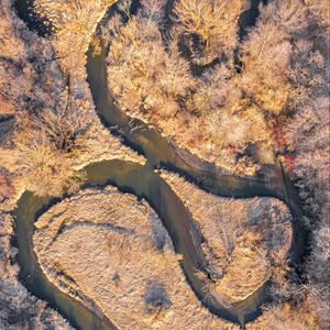 Preview wallpaper river, forest, autumn, nature, aerial view
