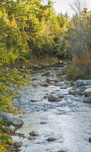 Preview wallpaper river, forest, autumn, landscape