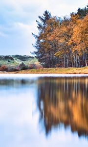 Preview wallpaper river, forest, coast, reflection, autumn, landscape
