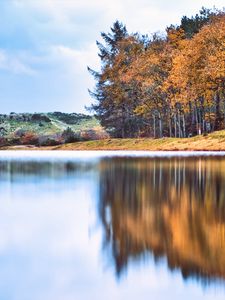 Preview wallpaper river, forest, coast, reflection, autumn, landscape