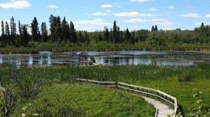 Preview wallpaper river, forest, decking, landscape