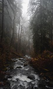 Preview wallpaper river, forest, fog, stream, trees