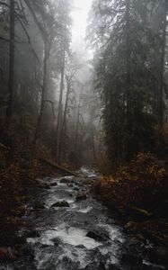 Preview wallpaper river, forest, fog, stream, trees