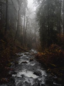 Preview wallpaper river, forest, fog, stream, trees