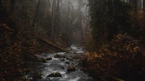 Preview wallpaper river, forest, fog, stream, trees