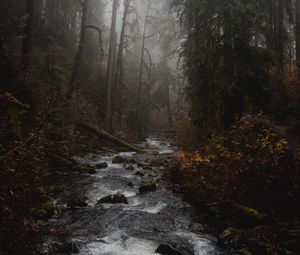 Preview wallpaper river, forest, fog, stream, trees