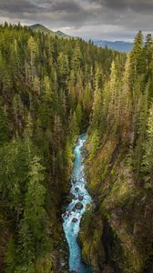 Preview wallpaper river, forest, gorge, aerial view