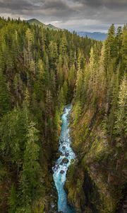 Preview wallpaper river, forest, gorge, aerial view