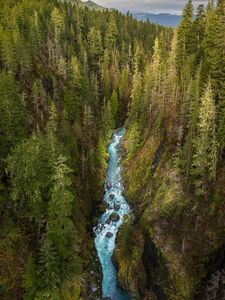 Preview wallpaper river, forest, gorge, aerial view