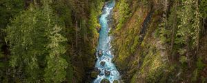 Preview wallpaper river, forest, gorge, aerial view