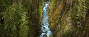 Preview wallpaper river, forest, gorge, aerial view