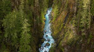 Preview wallpaper river, forest, gorge, aerial view