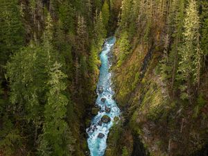 Preview wallpaper river, forest, gorge, aerial view