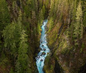Preview wallpaper river, forest, gorge, aerial view