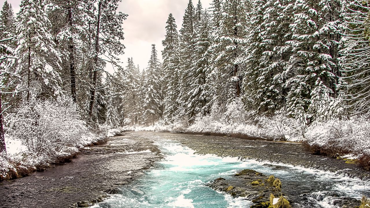 Wallpaper river, forest, landscape, nature, trees