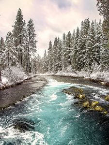 Preview wallpaper river, forest, landscape, nature, trees