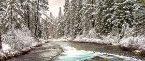 Preview wallpaper river, forest, landscape, nature, trees