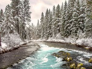 Preview wallpaper river, forest, landscape, nature, trees