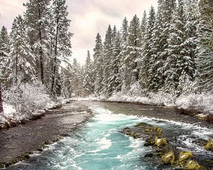 Preview wallpaper river, forest, landscape, nature, trees