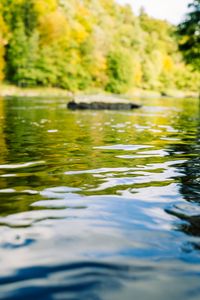 Preview wallpaper river, forest, landscape, nature, water