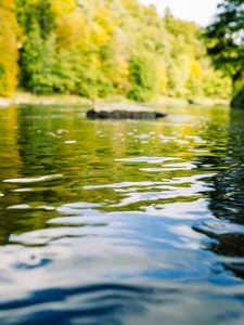 Preview wallpaper river, forest, landscape, nature, water