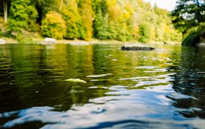 Preview wallpaper river, forest, landscape, nature, water