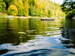 Preview wallpaper river, forest, landscape, nature, water