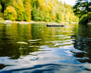 Preview wallpaper river, forest, landscape, nature, water