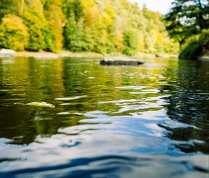 Preview wallpaper river, forest, landscape, nature, water