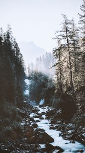 Preview wallpaper river, forest, mountains, sunlight, landscape, morning