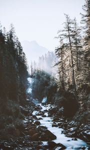 Preview wallpaper river, forest, mountains, sunlight, landscape, morning