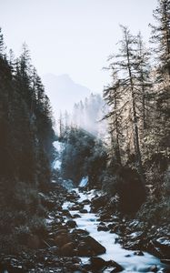 Preview wallpaper river, forest, mountains, sunlight, landscape, morning