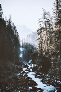 Preview wallpaper river, forest, mountains, sunlight, landscape, morning