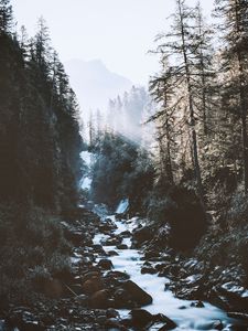 Preview wallpaper river, forest, mountains, sunlight, landscape, morning