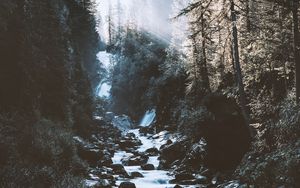 Preview wallpaper river, forest, mountains, sunlight, landscape, morning