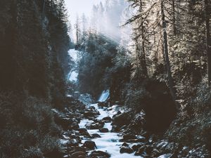 Preview wallpaper river, forest, mountains, sunlight, landscape, morning