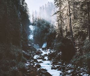 Preview wallpaper river, forest, mountains, sunlight, landscape, morning