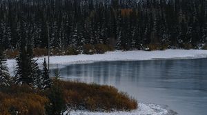 Preview wallpaper river, forest, mountains, nature, landscape